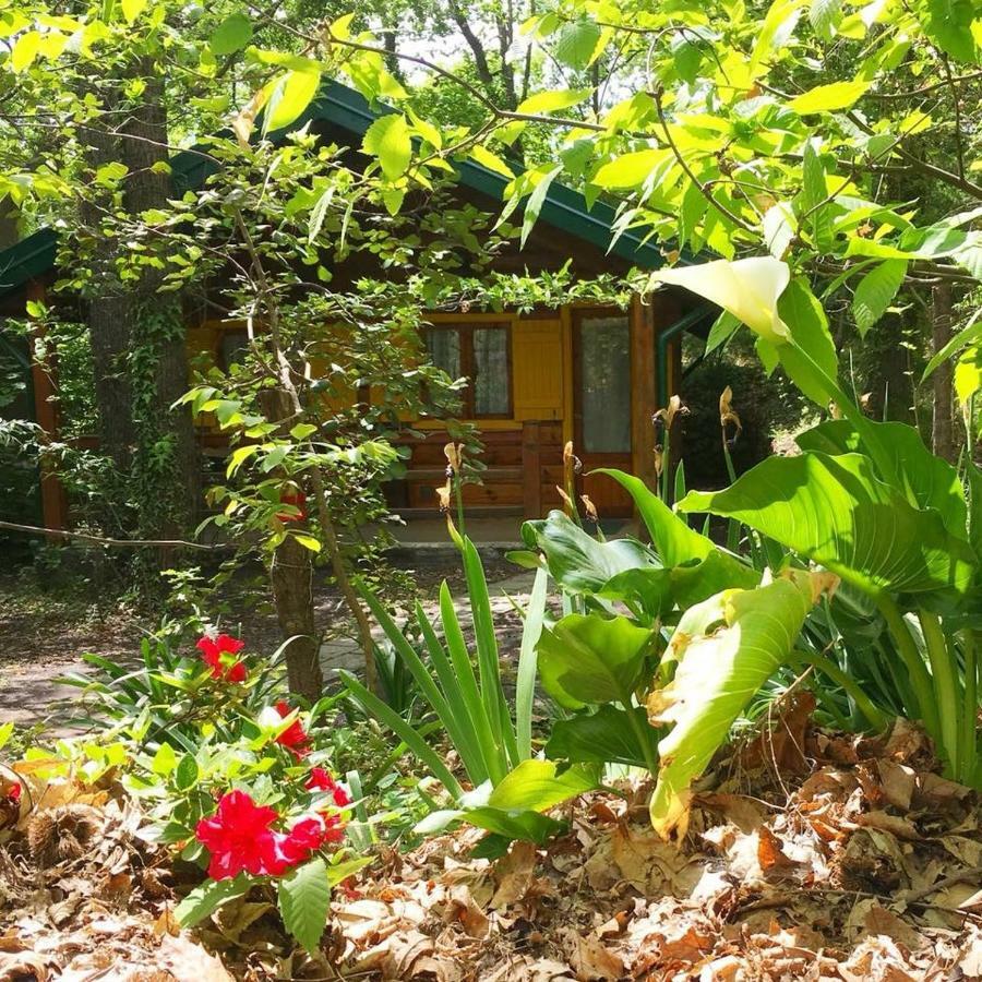 Chalet Etna Milo Bagian luar foto